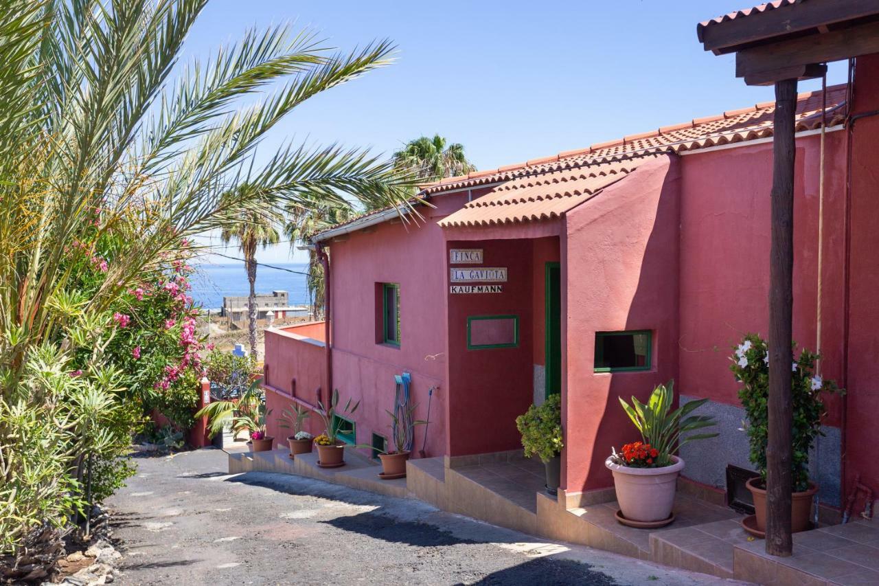 Finca La Gaviota - El Marmol Icod De Los Vinos Esterno foto